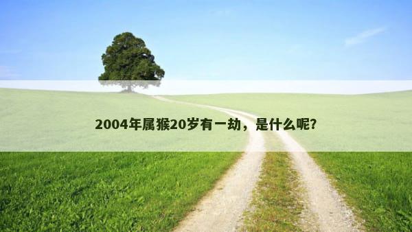 2004年属猴20岁有一劫，是什么呢？