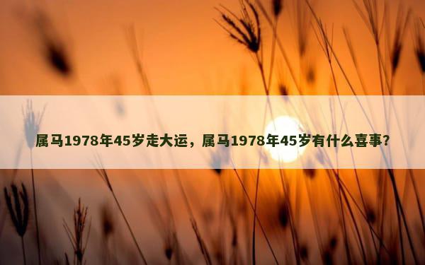 属马1978年45岁走大运，属马1978年45岁有什么喜事？