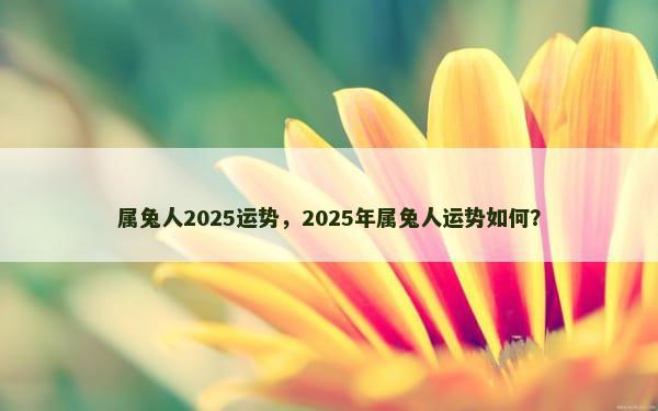 属兔人2025运势，2025年属兔人运势如何？