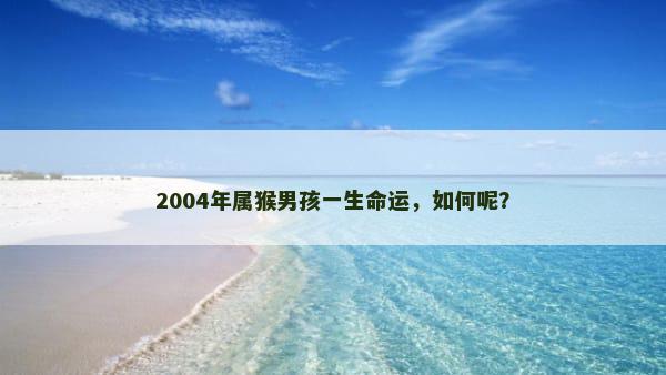 2004年属猴男孩一生命运，如何呢？