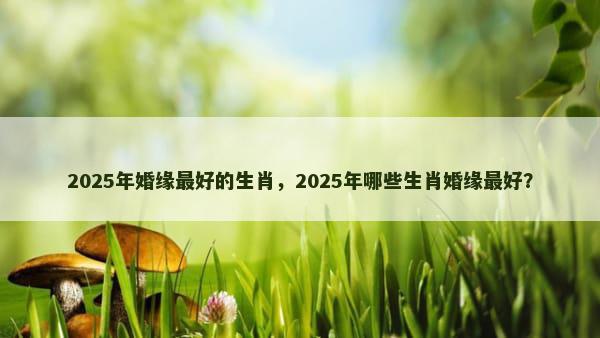 2025年婚缘最好的生肖，2025年哪些生肖婚缘最好？