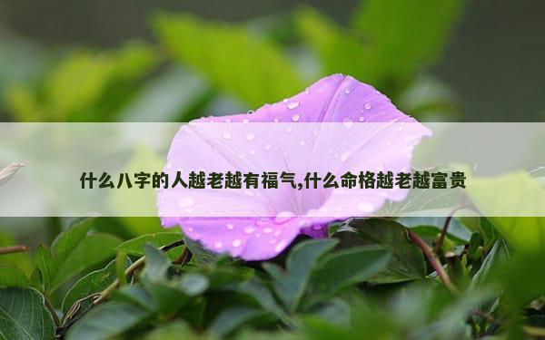 什么八字的人越老越有福气,什么命格越老越富贵