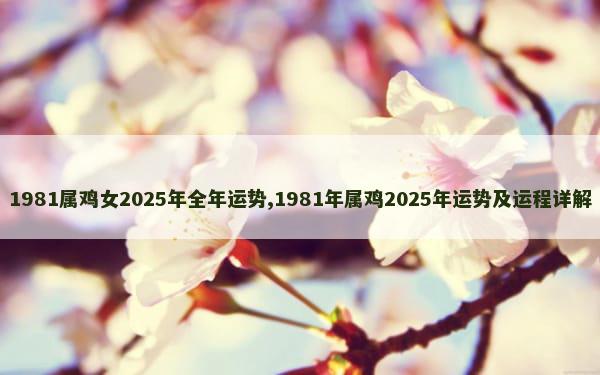 1981属鸡女2025年全年运势,1981年属鸡2025年运势及运程详解