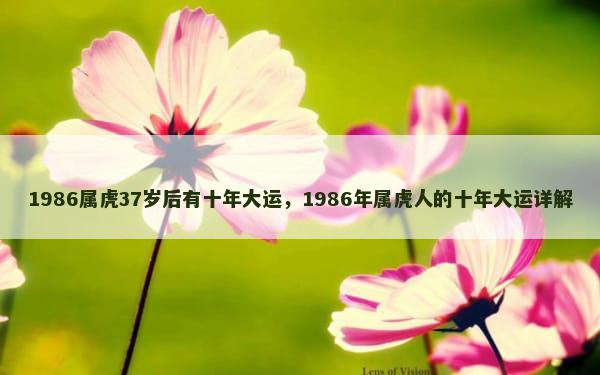 1986属虎37岁后有十年大运，1986年属虎人的十年大运详解