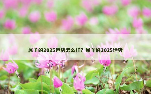 属羊的2025运势怎么样？属羊的2025运势