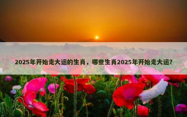 2025年开始走大运的生肖，哪些生肖2025年开始走大运？