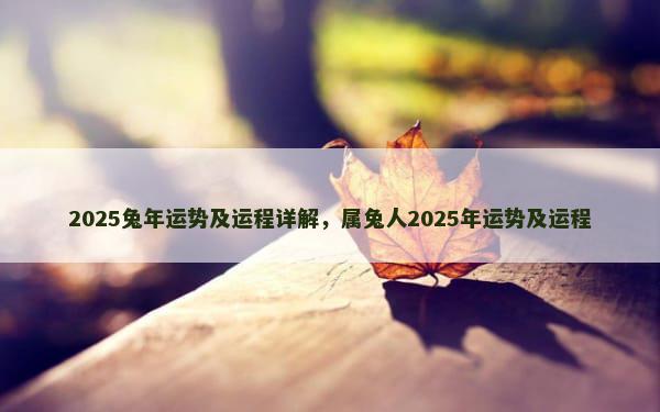 2025兔年运势及运程详解，属兔人2025年运势及运程