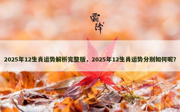 2025年12生肖运势解析完整版，2025年12生肖运势分别如何呢？