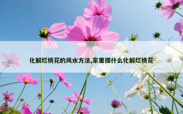 化解烂桃花的风水方法,家里摆什么化解烂桃花