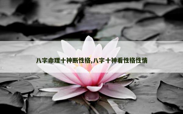 八字命理十神断性格,八字十神看性格性情