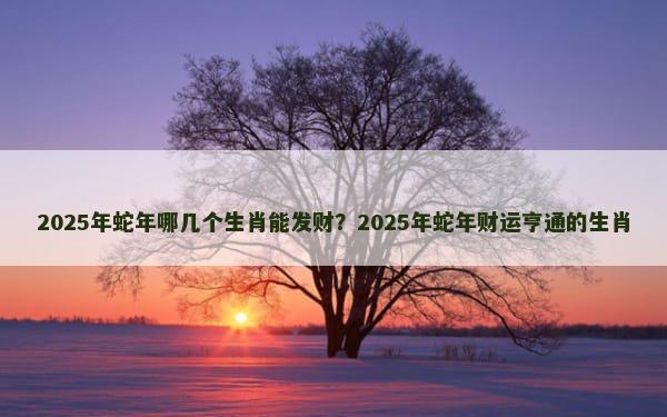 2025年蛇年哪几个生肖能发财？2025年蛇年财运亨通的生肖