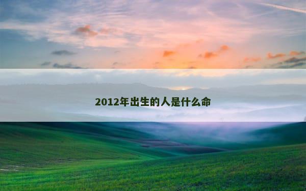 2012年出生的人是什么命