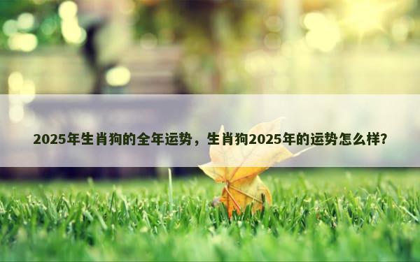 2025年生肖狗的全年运势，生肖狗2025年的运势怎么样？