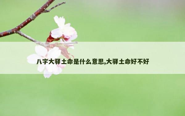 八字大驿土命是什么意思,大驿土命好不好