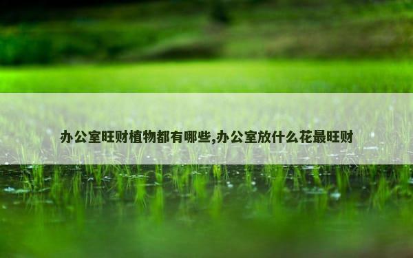 办公室旺财植物都有哪些,办公室放什么花最旺财