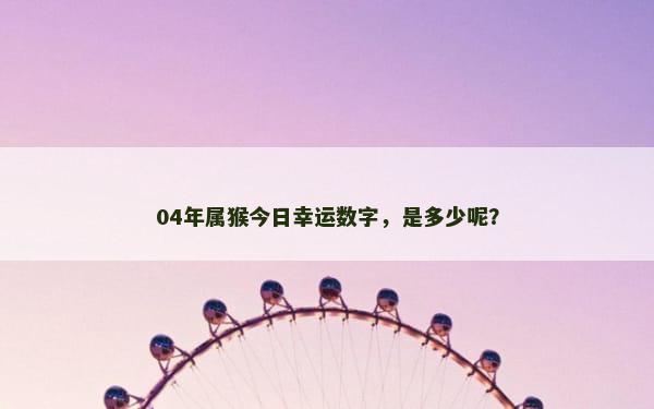 04年属猴今日幸运数字，是多少呢？