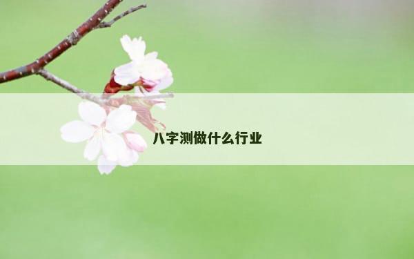 八字测做什么行业