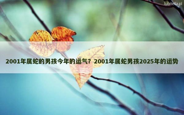 2001年属蛇的男孩今年的运气？2001年属蛇男孩2025年的运势