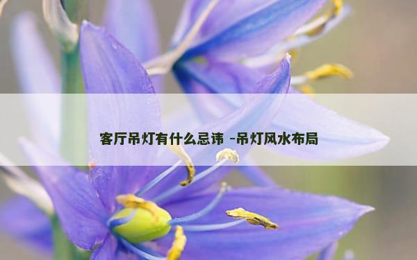 客厅吊灯有什么忌讳 -吊灯风水布局