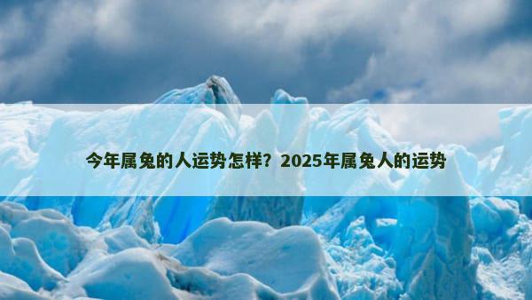 今年属兔的人运势怎样？2025年属兔人的运势