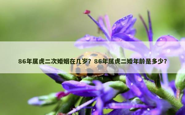 86年属虎二次婚姻在几岁？86年属虎二婚年龄是多少？