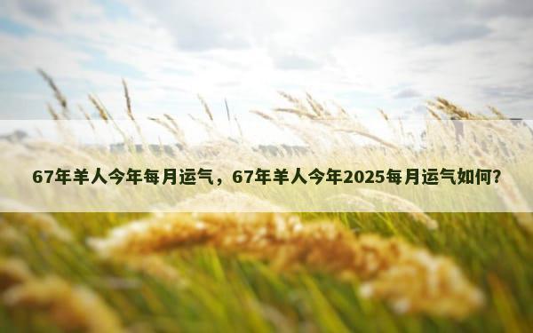 67年羊人今年每月运气，67年羊人今年2025每月运气如何？