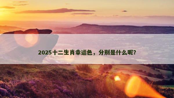 2025十二生肖幸运色，分别是什么呢？