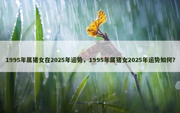 1995年属猪女在2025年运势，1995年属猪女2025年运势如何？