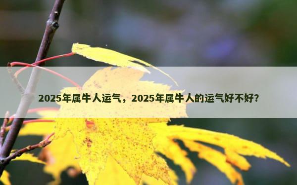 2025年属牛人运气，2025年属牛人的运气好不好？