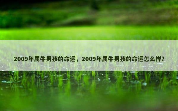 2009年属牛男孩的命运，2009年属牛男孩的命运怎么样？