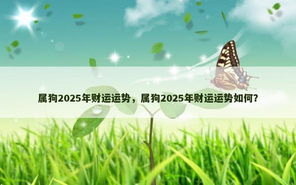 属狗2025年财运运势，属狗2025年财运运势如何？