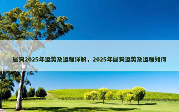 属狗2025年运势及运程详解，2025年属狗运势及运程如何