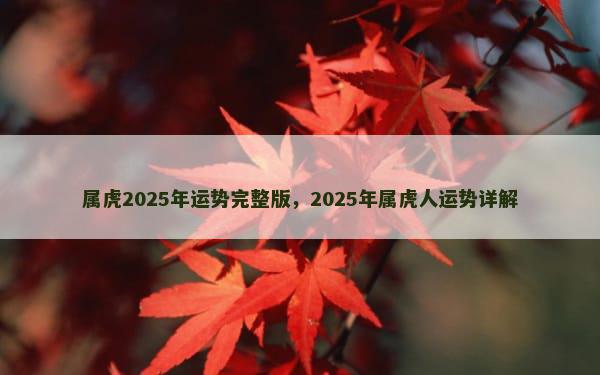 属虎2025年运势完整版，2025年属虎人运势详解