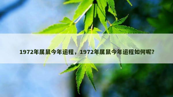 1972年属鼠今年运程，1972年属鼠今年运程如何呢？