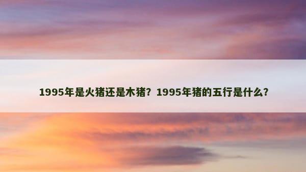 1995年是火猪还是木猪？1995年猪的五行是什么？