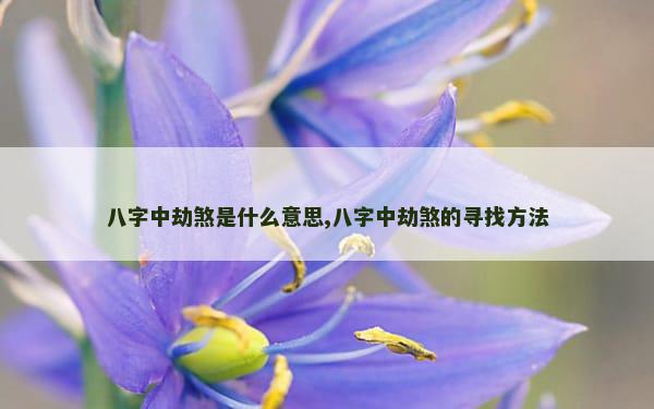 八字中劫煞是什么意思,八字中劫煞的寻找方法