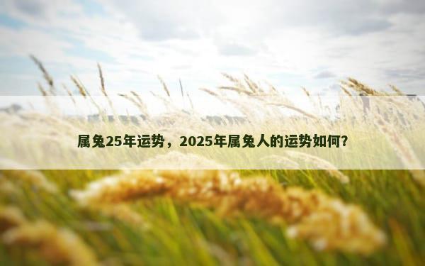 属兔25年运势，2025年属兔人的运势如何？