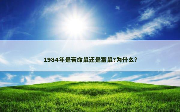 1984年是苦命鼠还是富鼠?为什么？