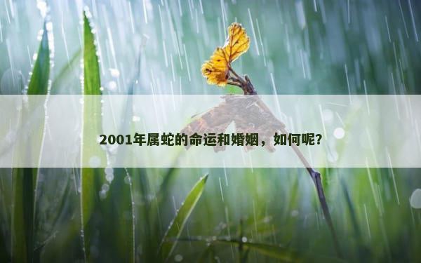 2001年属蛇的命运和婚姻，如何呢？