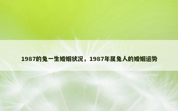 1987的兔一生婚姻状况，1987年属兔人的婚姻运势