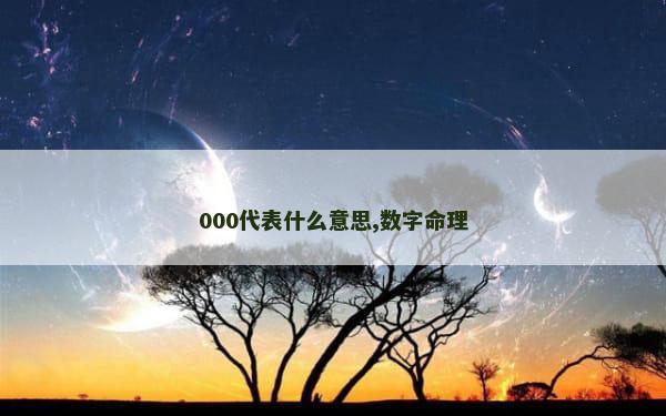 000代表什么意思,数字命理