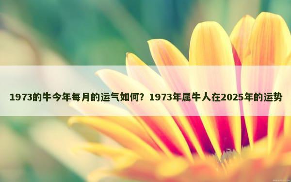 1973的牛今年每月的运气如何？1973年属牛人在2025年的运势