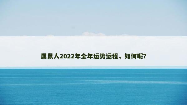 属鼠人2022年全年运势运程，如何呢？