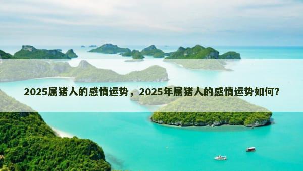 2025属猪人的感情运势，2025年属猪人的感情运势如何？