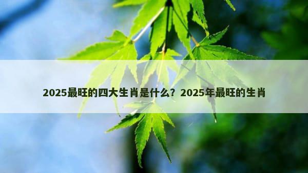 2025最旺的四大生肖是什么？2025年最旺的生肖