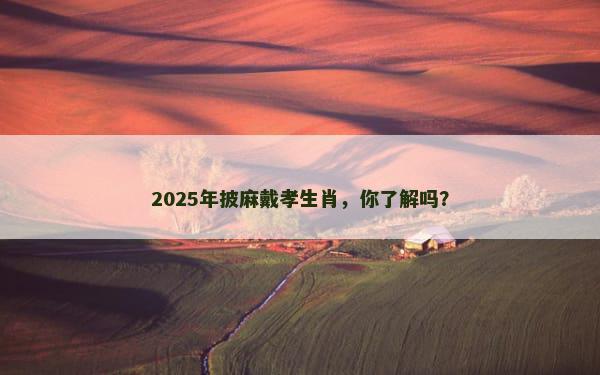 2025年披麻戴孝生肖，你了解吗？