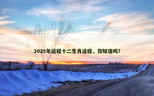 2025年运程十二生肖运程，你知道吗？