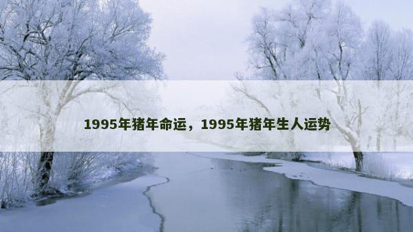 1995年猪年命运，1995年猪年生人运势