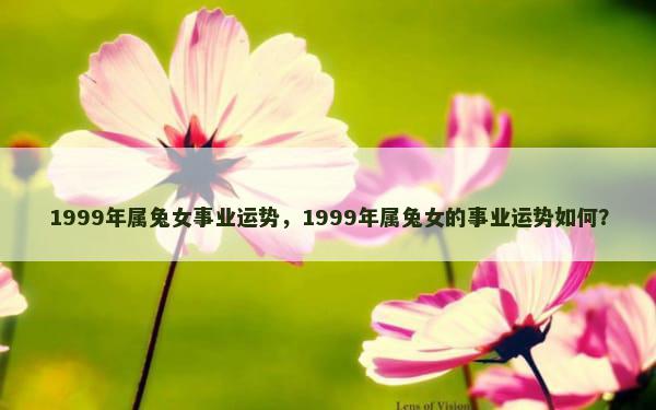 1999年属兔女事业运势，1999年属兔女的事业运势如何？