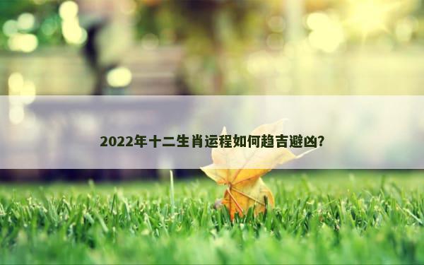 2022年十二生肖运程如何趋吉避凶？